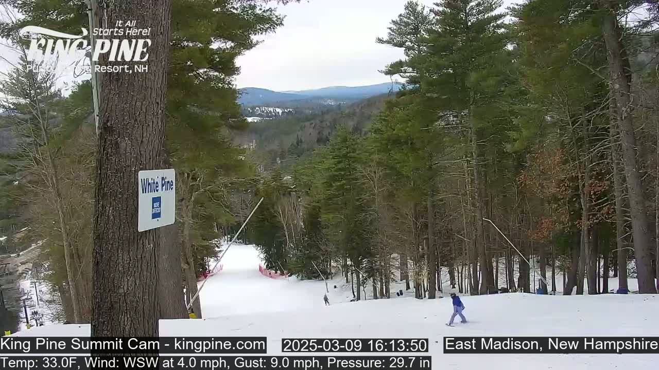 A snowy ski slope winds through a pine forest under a cloudy sky.