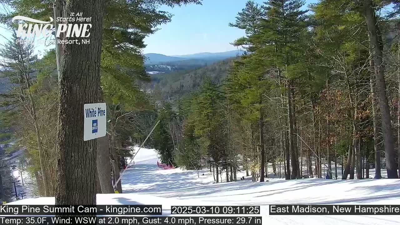 A snowy ski slope winds through a forested hillside under a sunny sky.