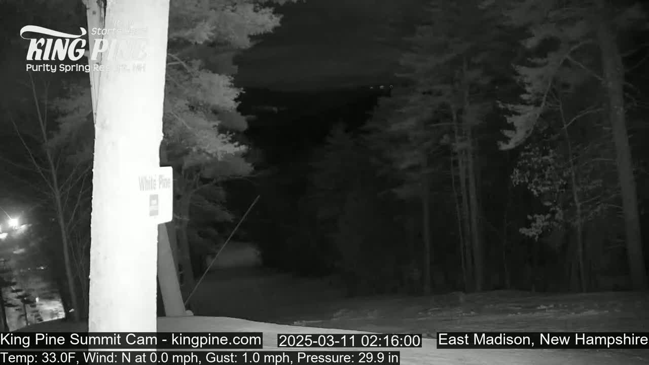 A nighttime, black-and-white view of a snow-covered forest path illuminated by a faint light source, with a tall post visible in the foreground under a clear sky.