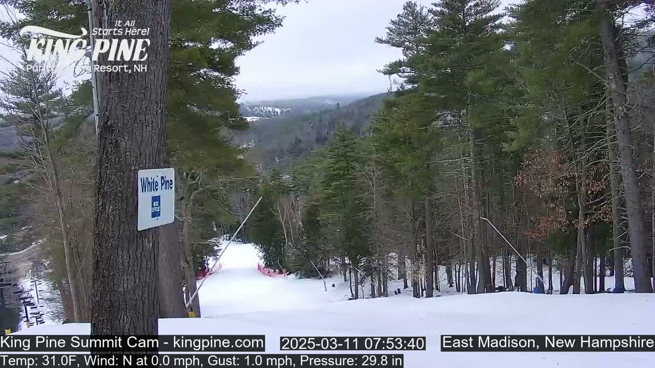 A snow-covered ski slope winds through a wooded area on an overcast day.
