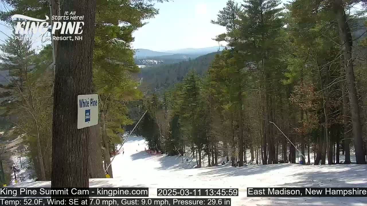 A snow-covered ski slope descends through a forest of evergreen trees under a mostly sunny sky.