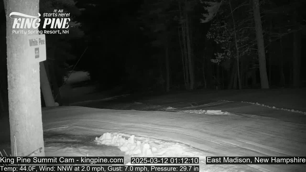 A snow-covered road at night, under a dark sky, is bordered by trees in a wooded area.