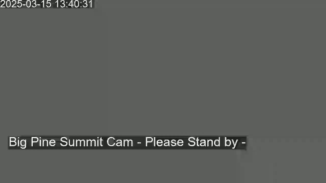 The image shows a solid gray screen with a message indicating a camera is offline.