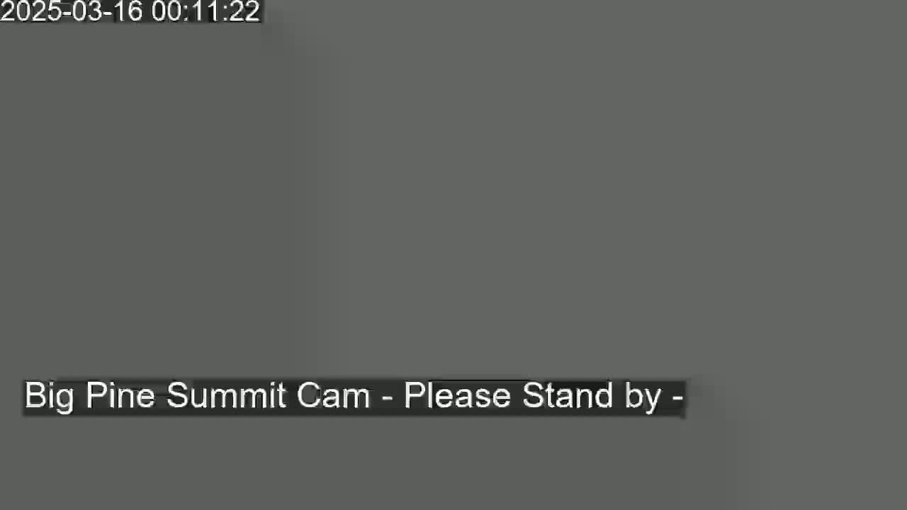 A solid, dark gray screen displays a message indicating that the camera is offline.