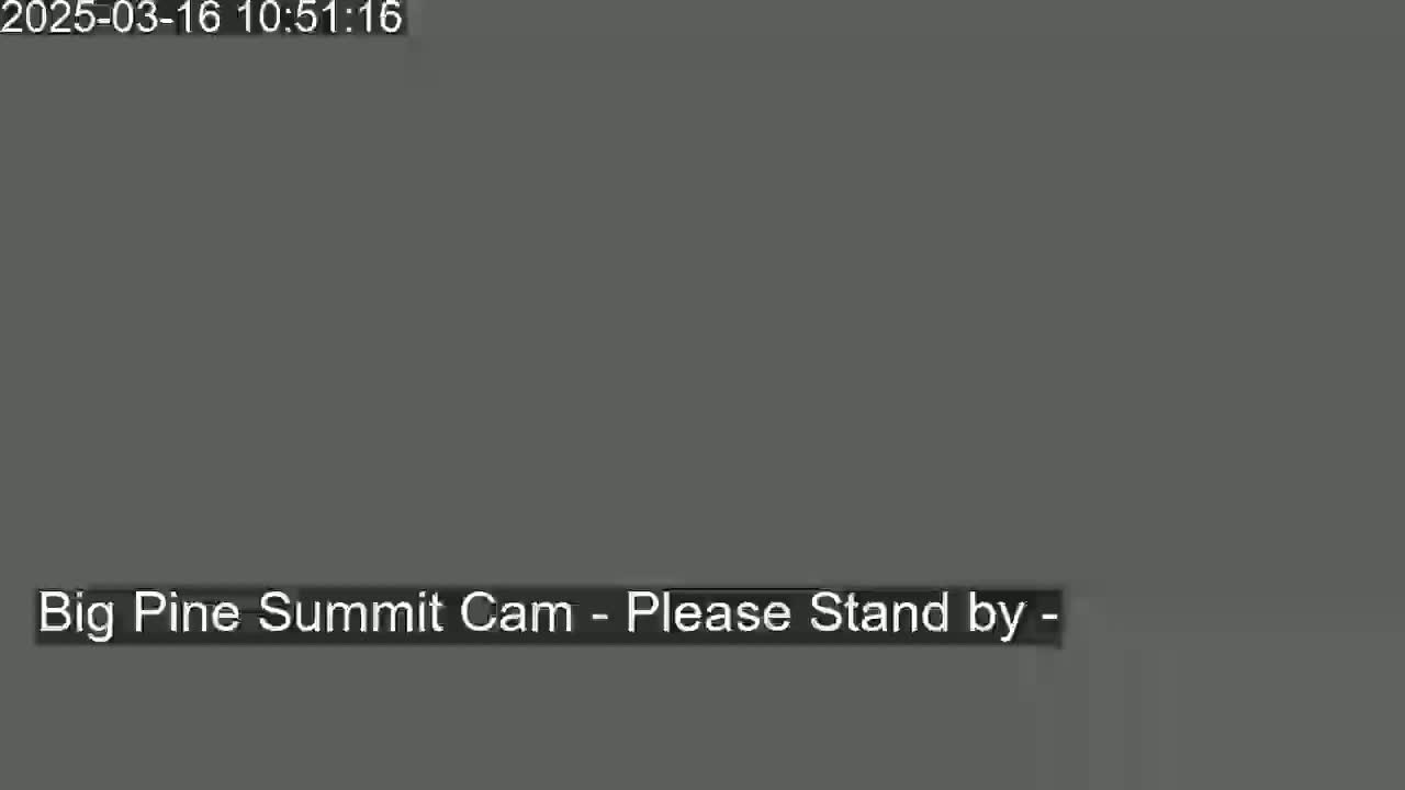 The image shows a solid gray screen.