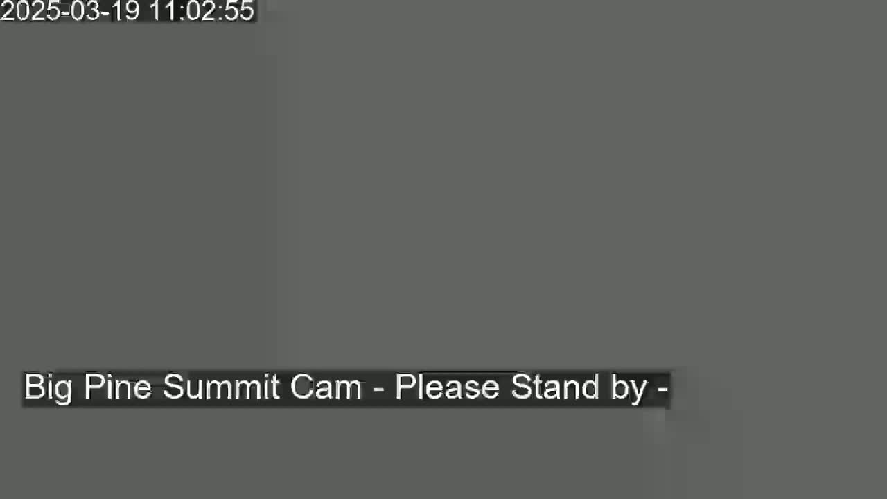 The image shows a solid gray screen.