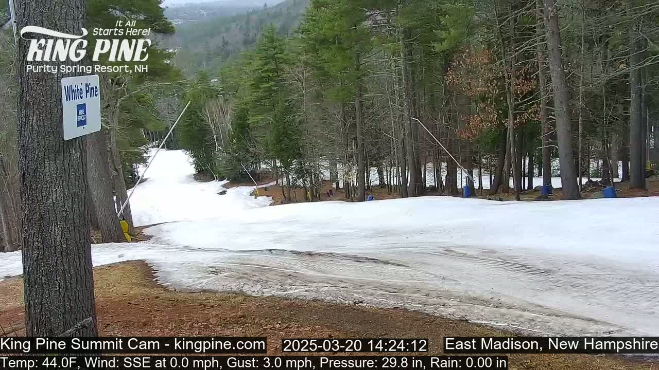 A snowy ski slope with a few people visible at the bottom, surrounded by a forest of mostly evergreen trees under a partly cloudy sky.