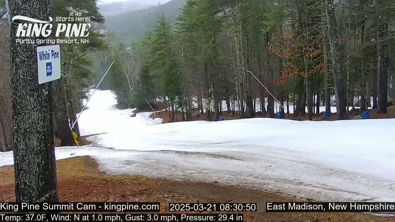 A snow-covered ski slope gently slopes downward through a wooded area on an overcast day.