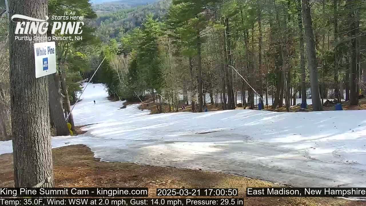 A snow-covered ski slope gently descends through a forest of pine trees on a partly sunny day with a WSW wind.