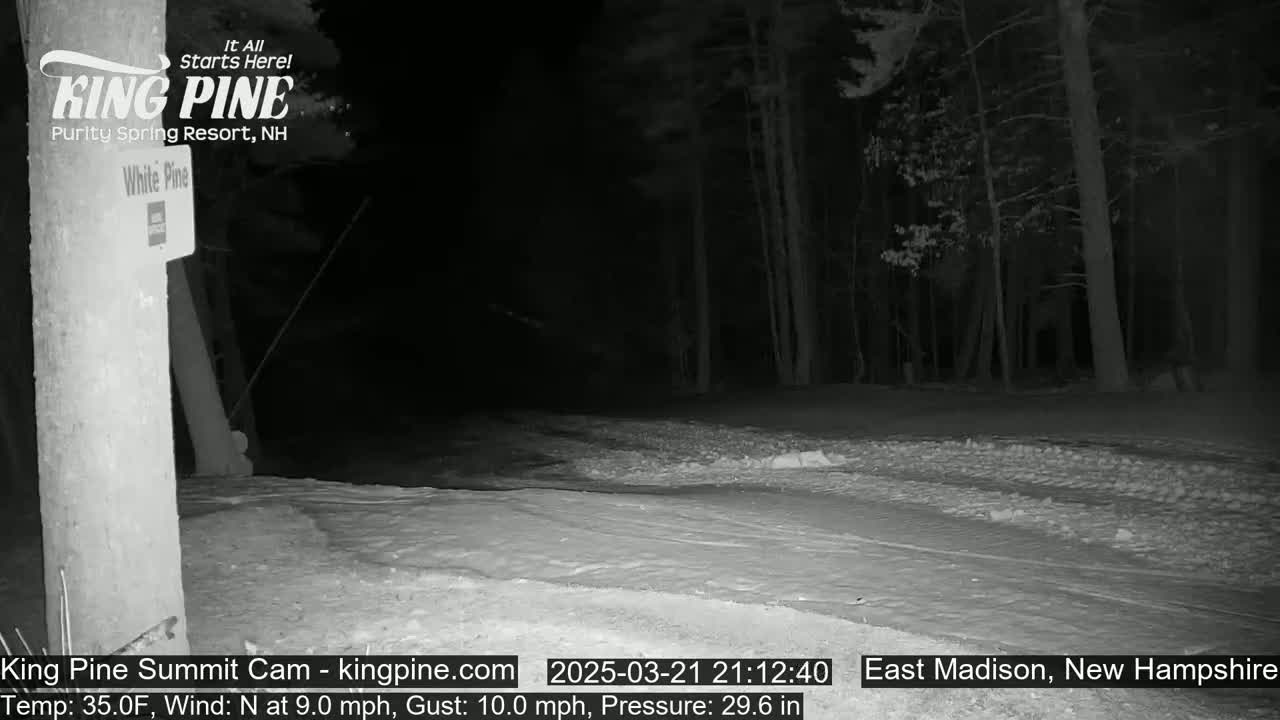 A snow-covered road at night is visible, bordered by dark trees under a clear, dark sky.