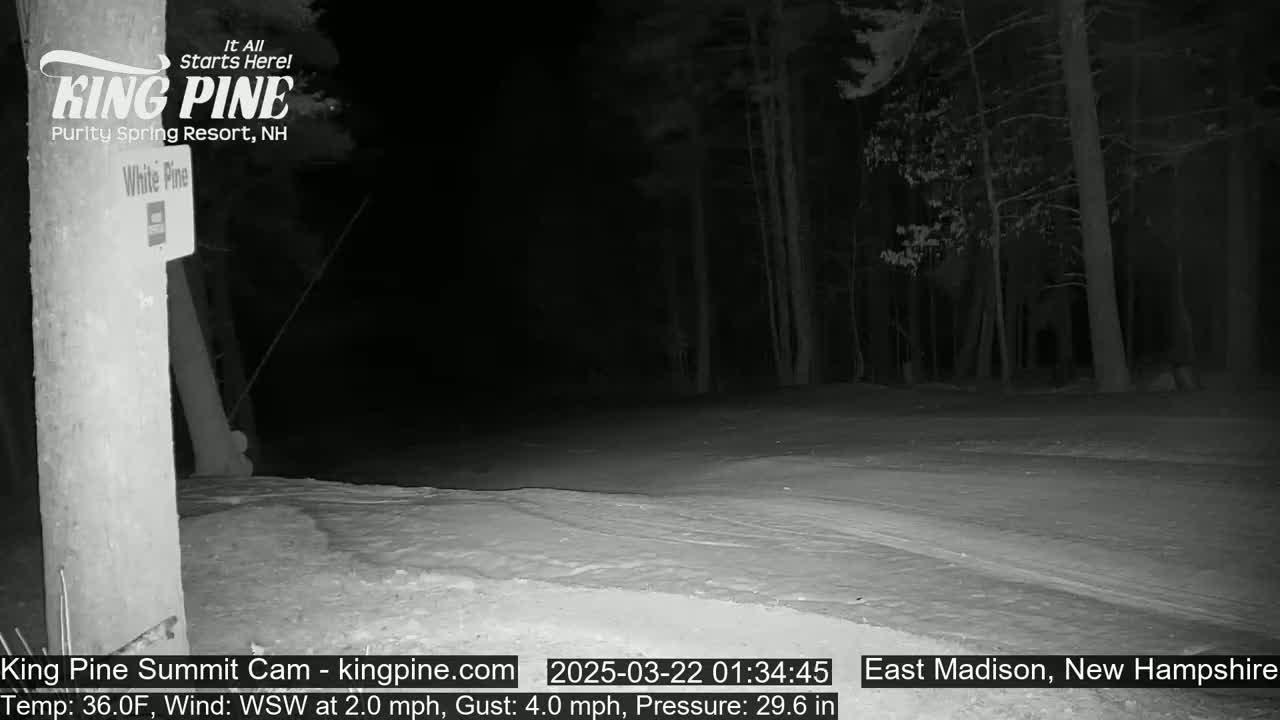 A nighttime view of a snow-covered area near a wooded forest under a dark sky.