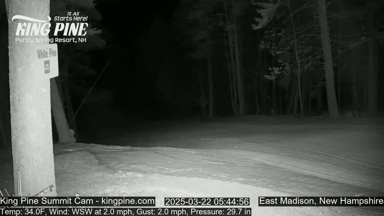 A nighttime, snow-covered scene shows a wooded area next to a post with a sign, under a dark sky with a light wind.