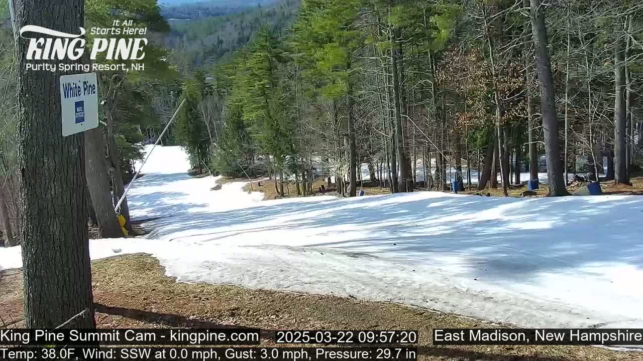 A snow-covered ski slope winds through a sunny, wooded area.