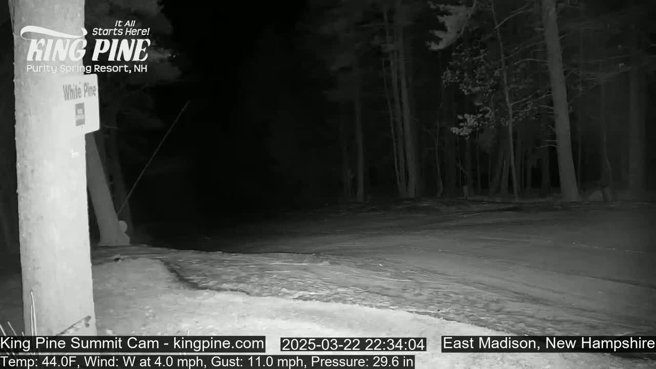 A nighttime, snow-covered scene shows a road leading into a dark wooded area under a clear sky, with a wind of 4 mph and gusts up to 11 mph.