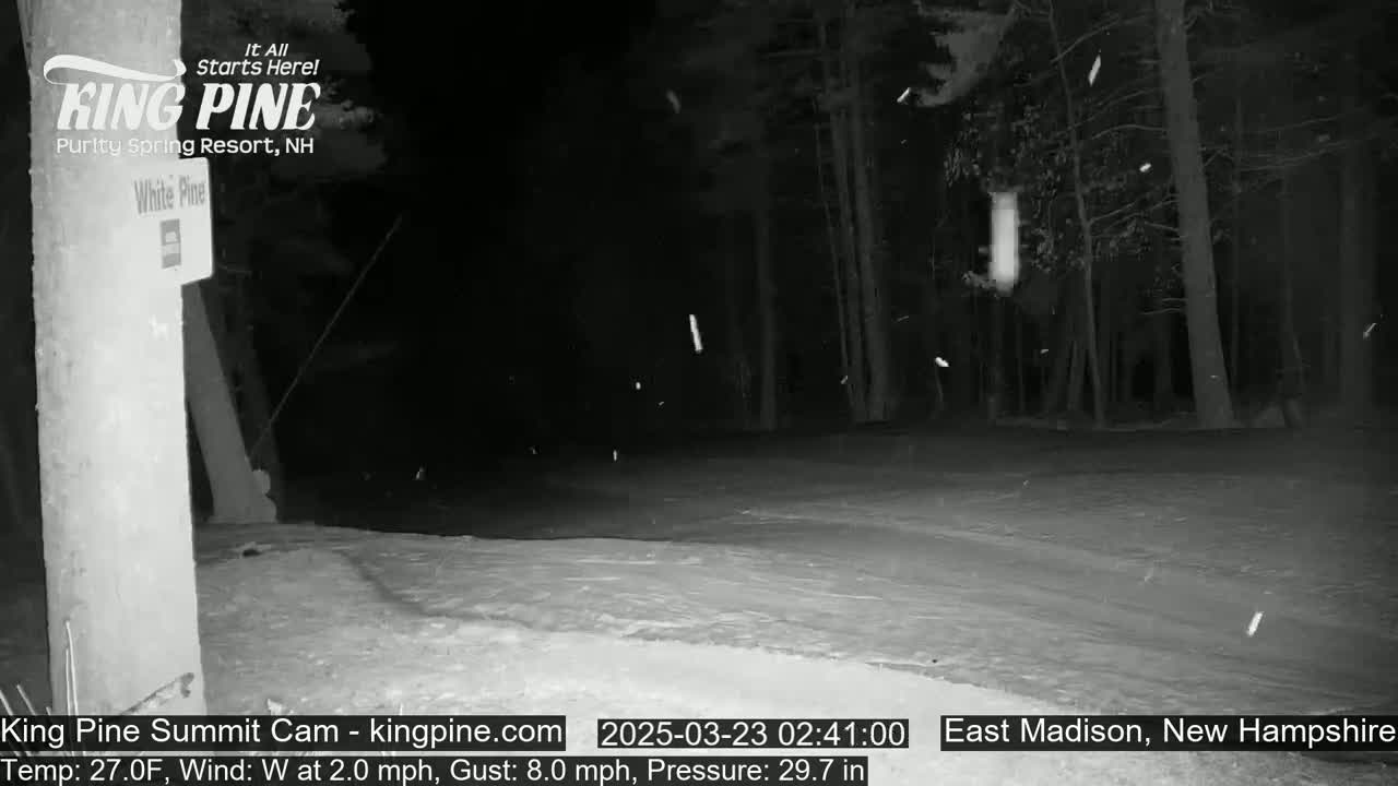 A nighttime snow scene shows a snow-covered ground and dark trees under a lightly snowing sky.