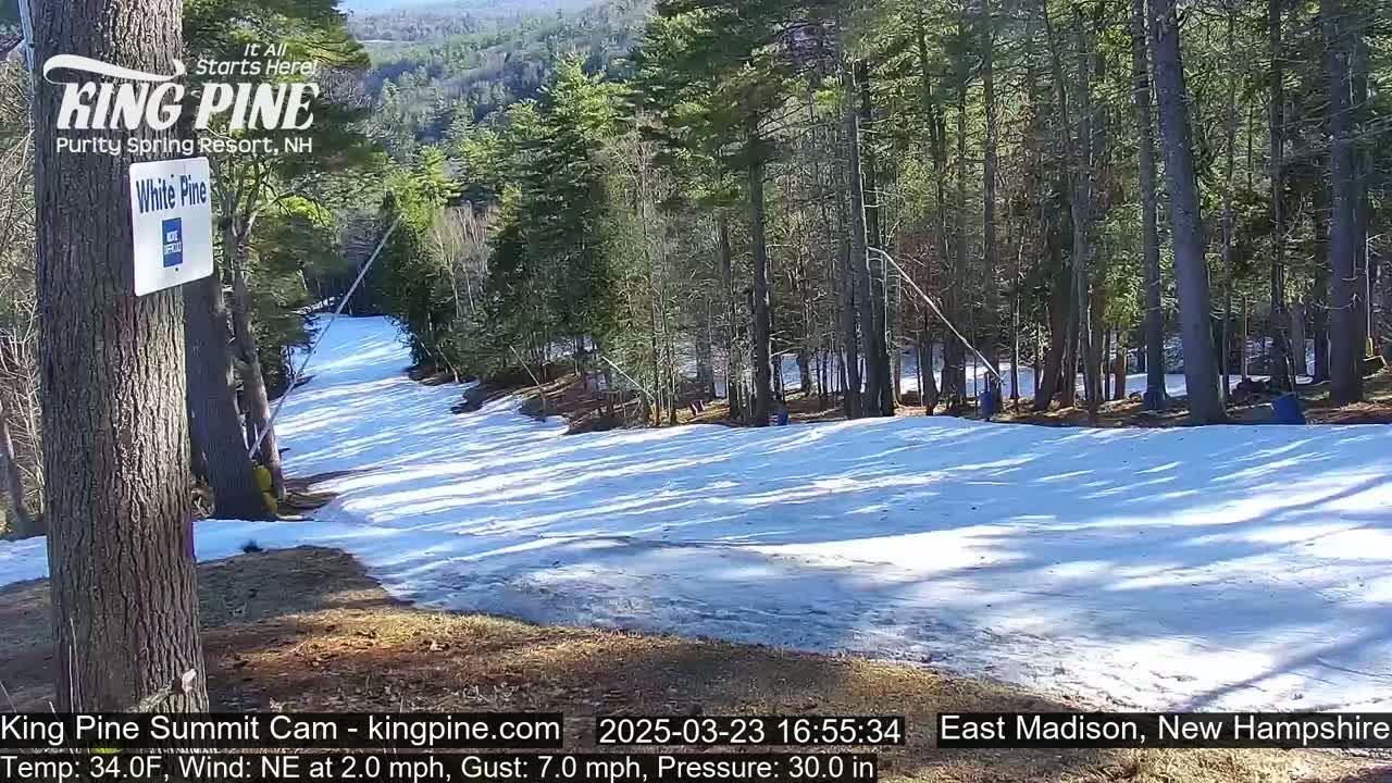 A snow-covered ski slope winds through a sunny, wooded area.
