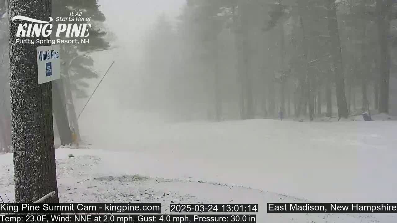 A snow-covered landscape with a forest in the background during a heavy snowstorm.