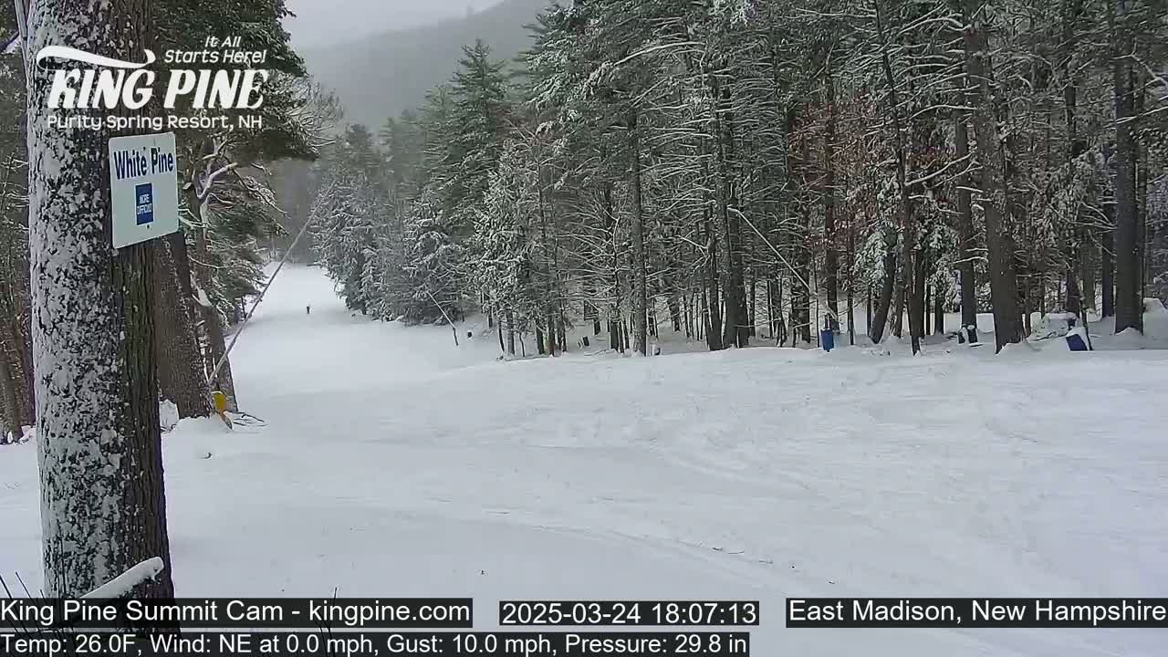A snow-covered ski slope is visible, surrounded by snow-laden evergreen trees under an overcast sky.