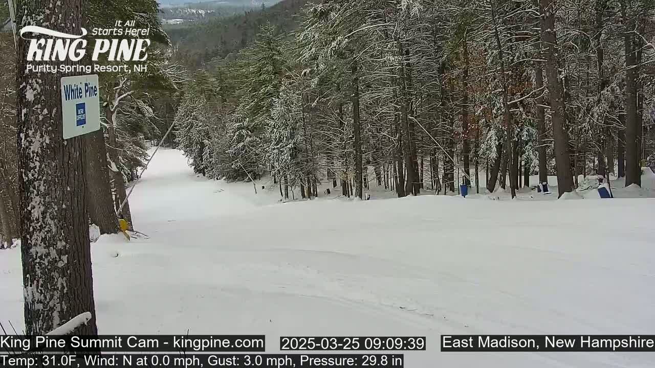 A snow-covered ski slope winds through a snow-dusted forest under a cloudy sky.