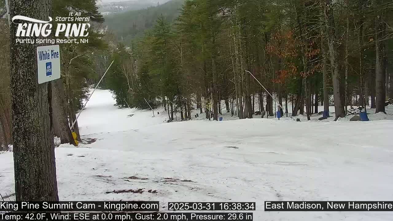 A snow-covered ski slope gently slopes down toward a wooded area under an overcast sky.