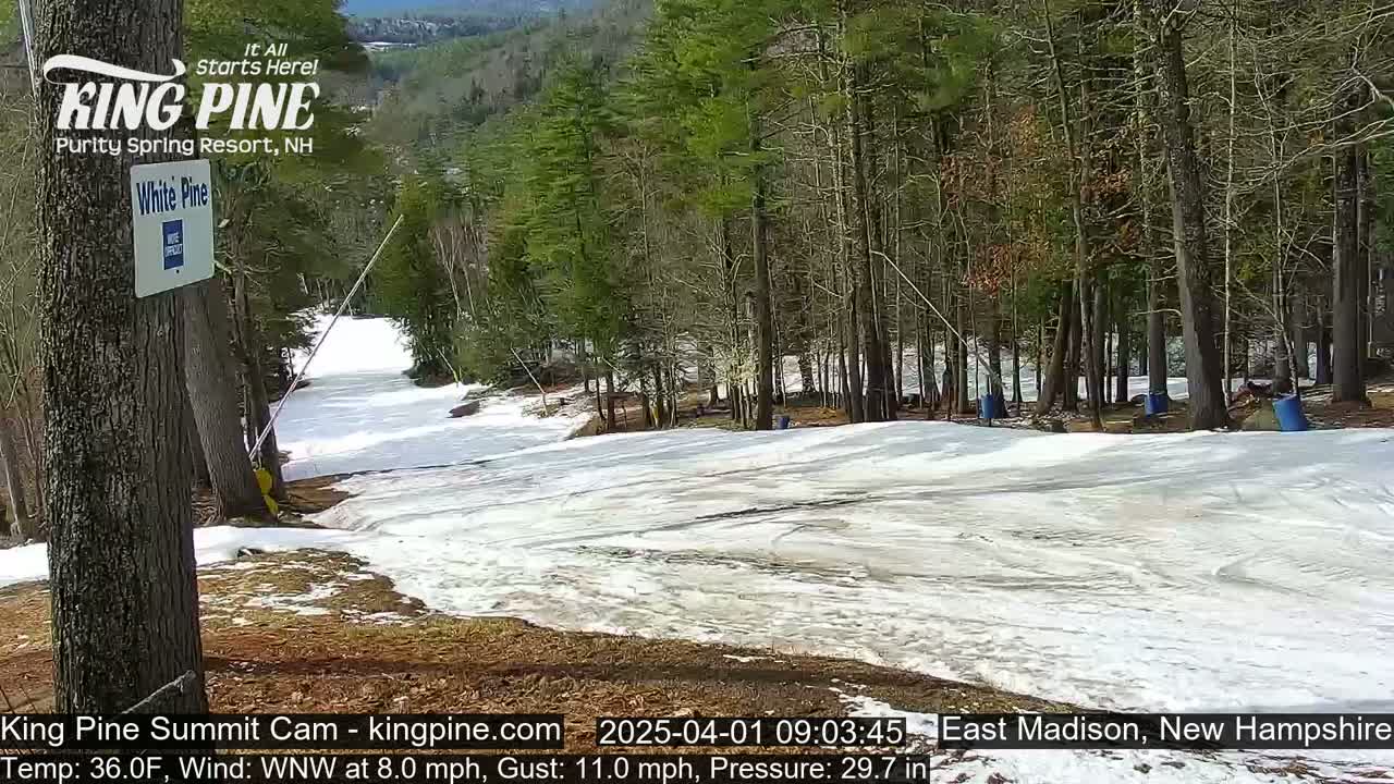 A snowy ski slope winds through a wooded area on a partly sunny day with a temperature of 36°F and a wind blowing from the west-northwest.