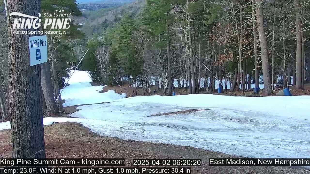 A snow-covered ski slope winds through a mostly bare, deciduous forest on a partly sunny day with a light north wind.