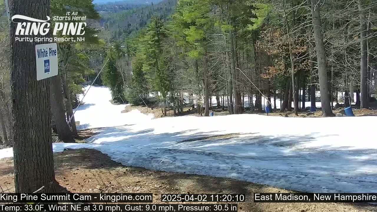 A snow-covered ski slope winds through a forest of mostly evergreen trees on a partly sunny day with a light northeast wind.