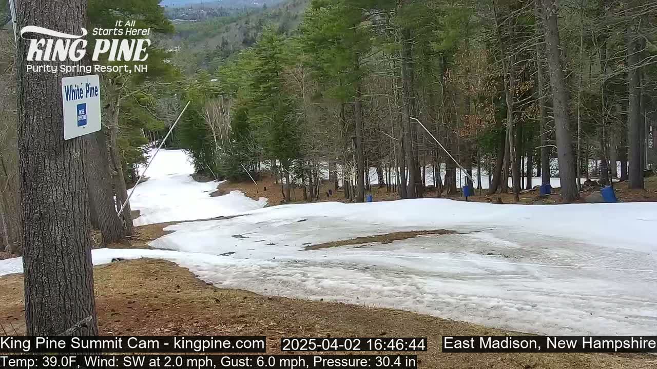 A snow-covered ski slope at the base of a wooded hill, with a southwest wind blowing at 2 mph and gusts up to 6 mph, and a temperature of 39°F.