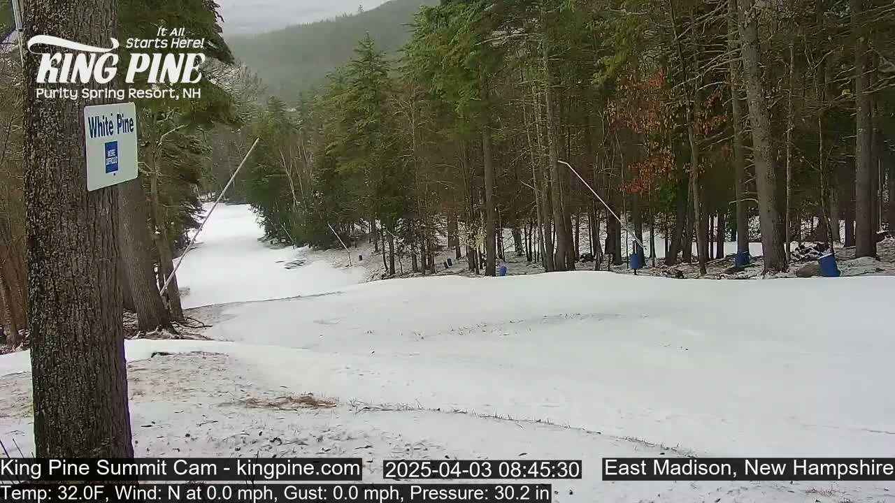 A snow-covered ski slope winds through a forest of mostly bare trees under an overcast sky.