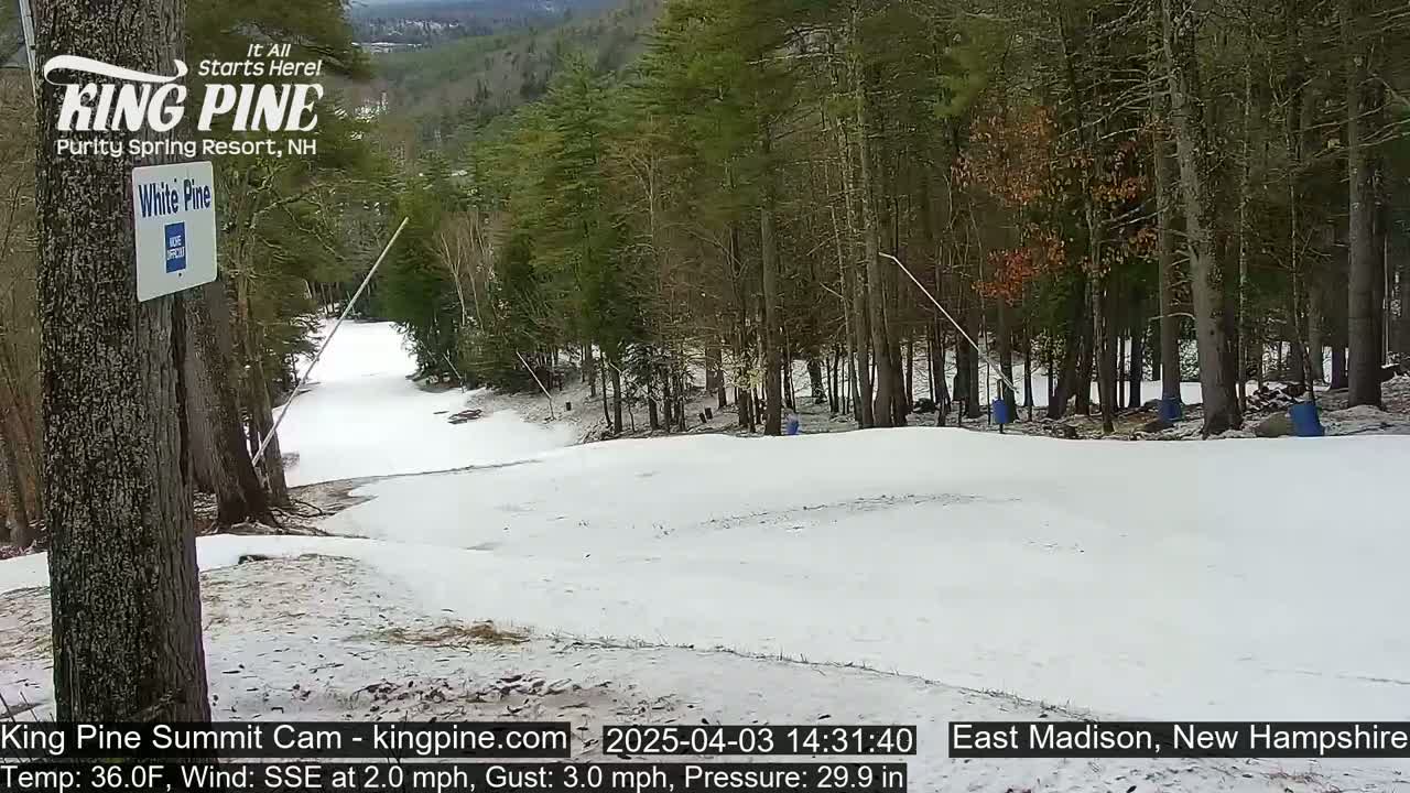 A snow-covered ski slope gently slopes down towards a stand of trees under a partly cloudy sky.