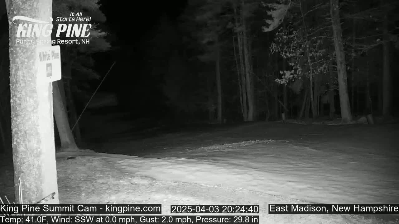 A nighttime, snow-covered area in a wooded location is seen under a clear sky.