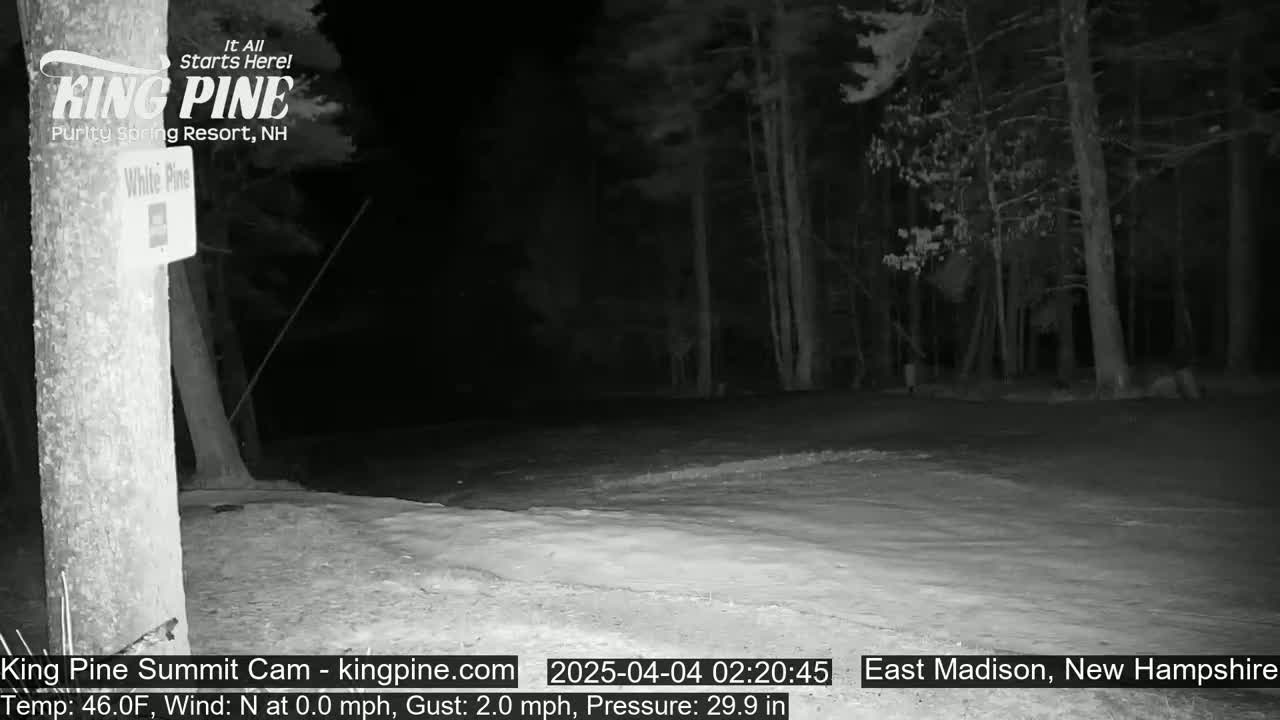 A nighttime, black-and-white image shows a paved area in front of a wooded area, with a signpost visible to the left.