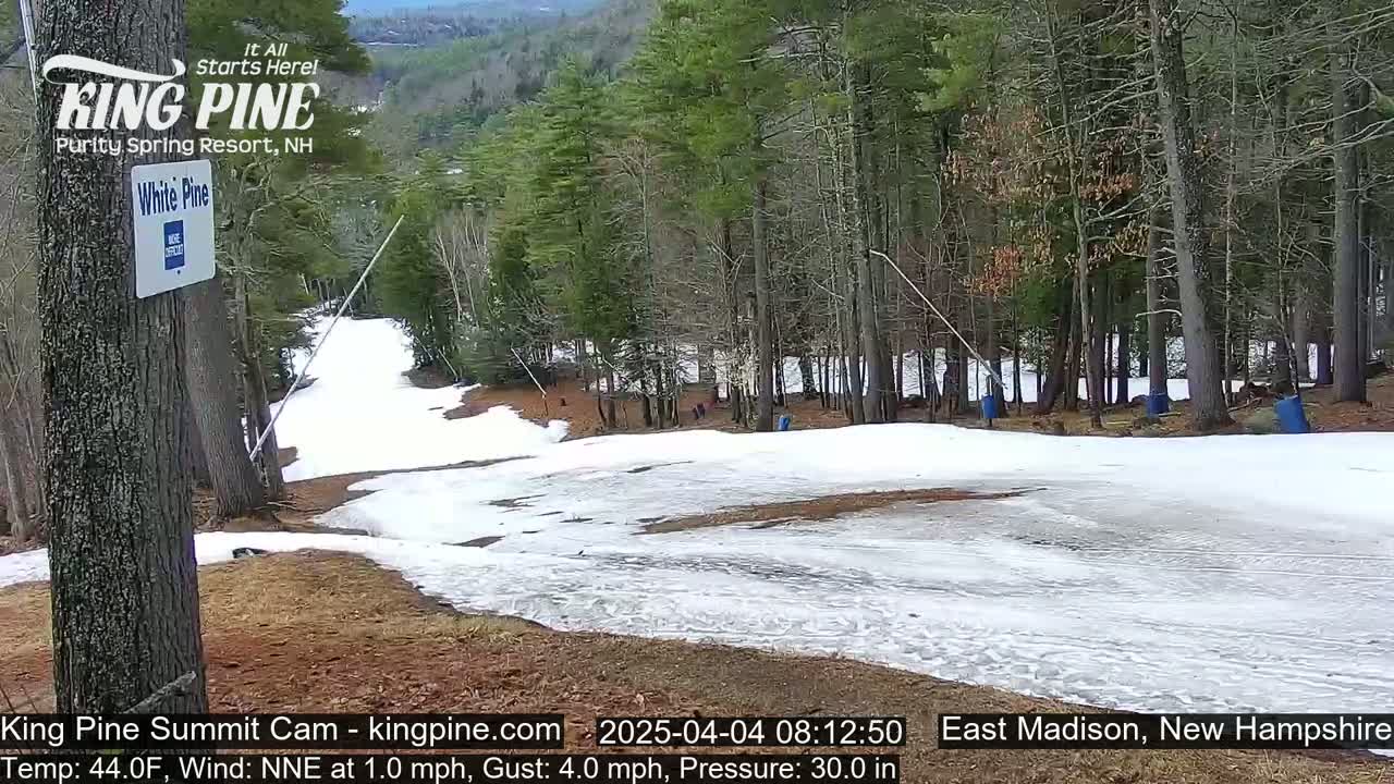 A snowy, partially melted ski slope in a wooded area on a partly sunny day with a light north-northeast wind.