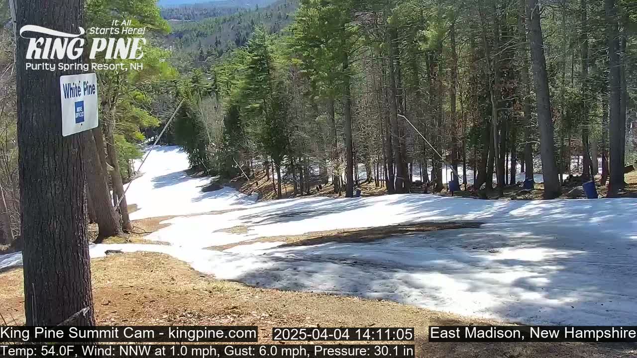 A snow-covered ski slope in a sunny wooded area.