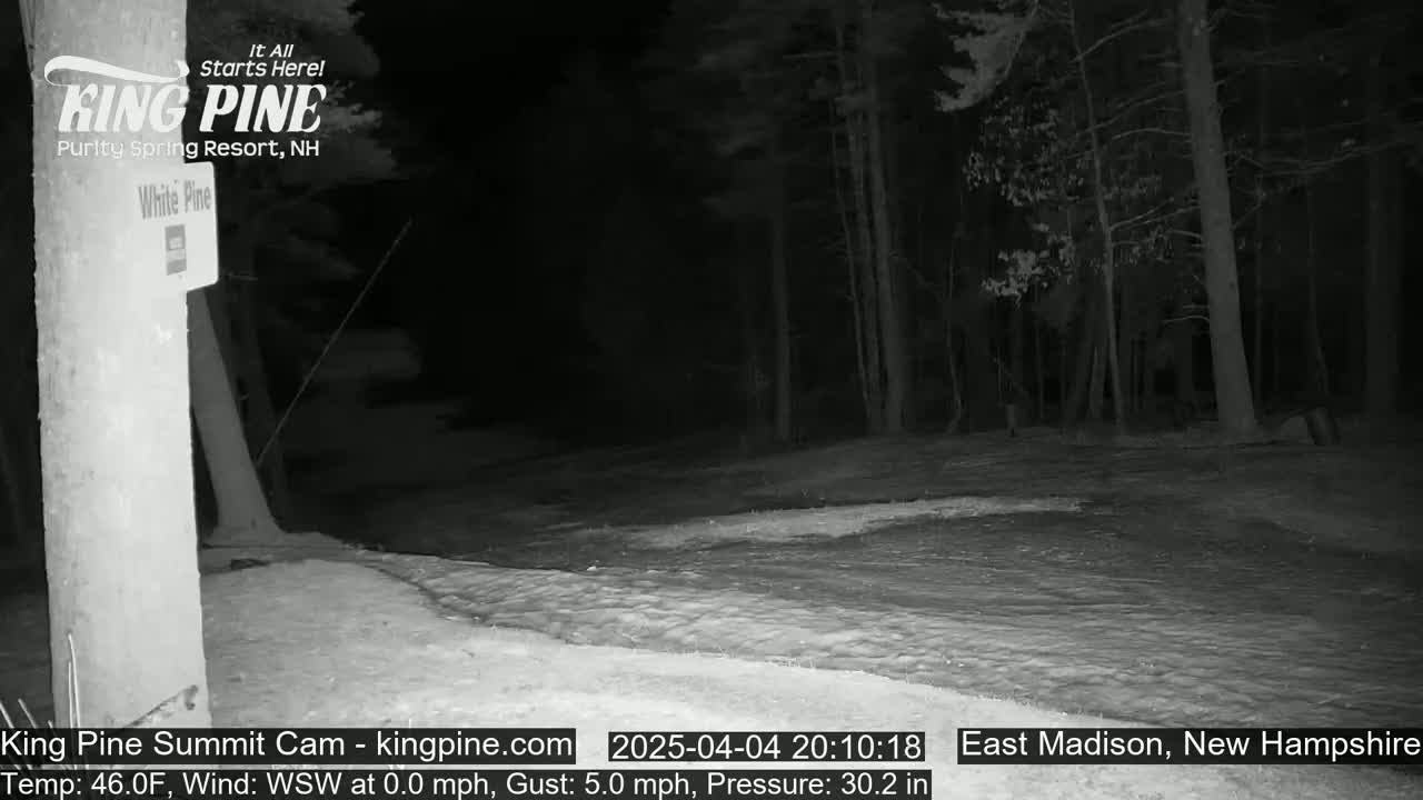 A nighttime view of a snow-covered clearing in a wooded area, with a faint wind.