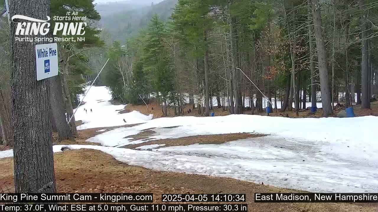 A snow-covered ski slope winds through a wooded area on an overcast day.