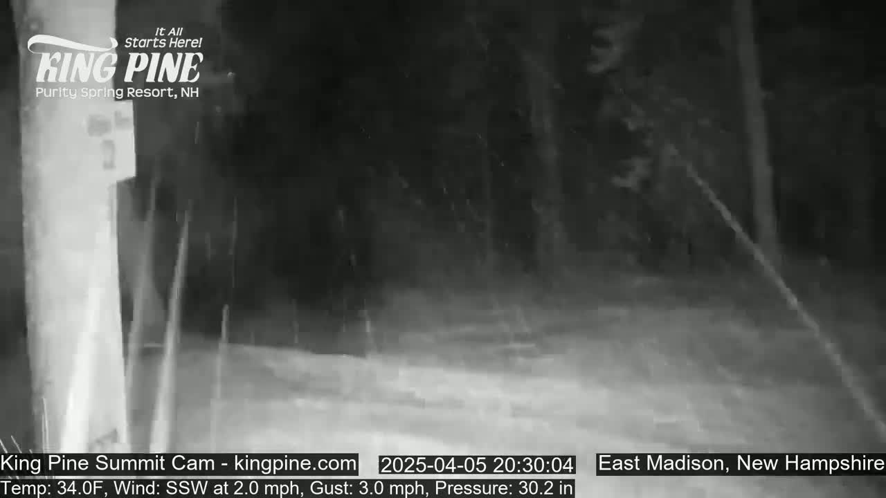 A nighttime, snowy scene shows a wooded area with light snowfall and a partial view of a structure.