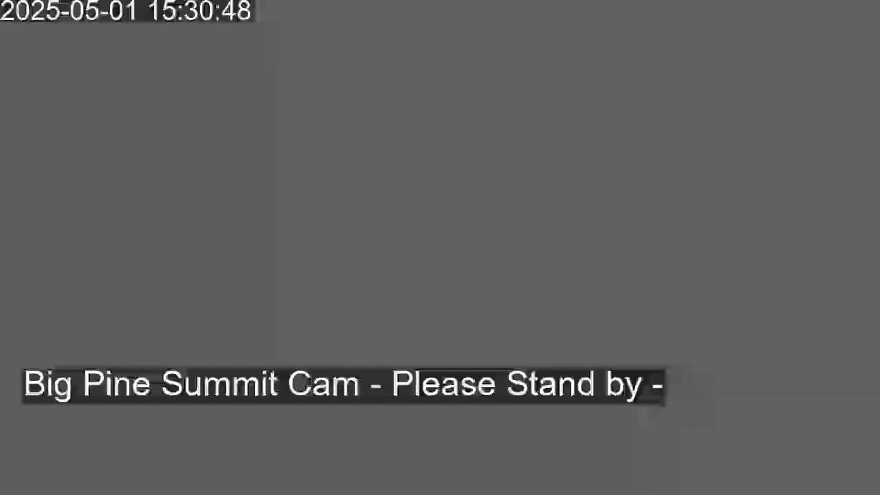 The image shows a solid gray screen.