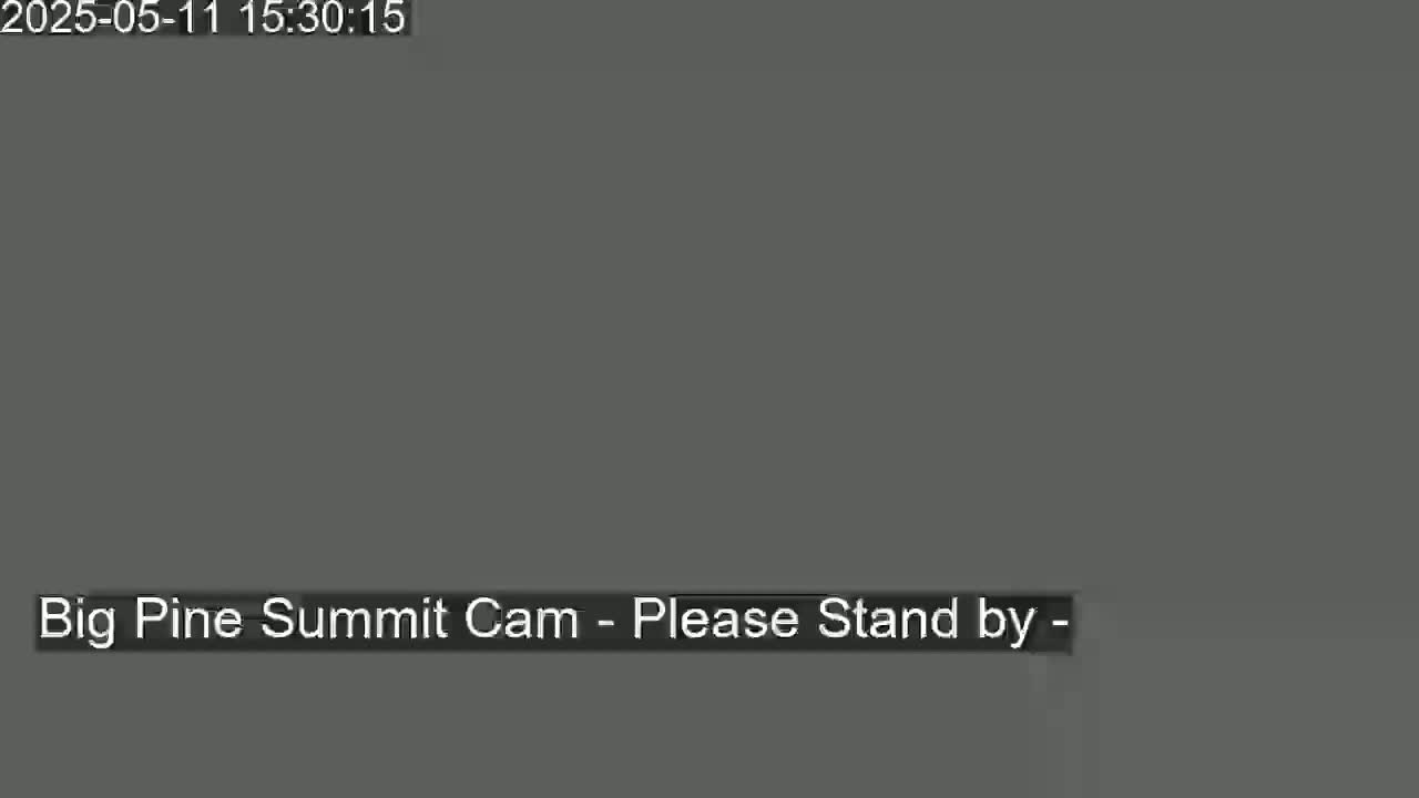 The image shows a solid gray screen.