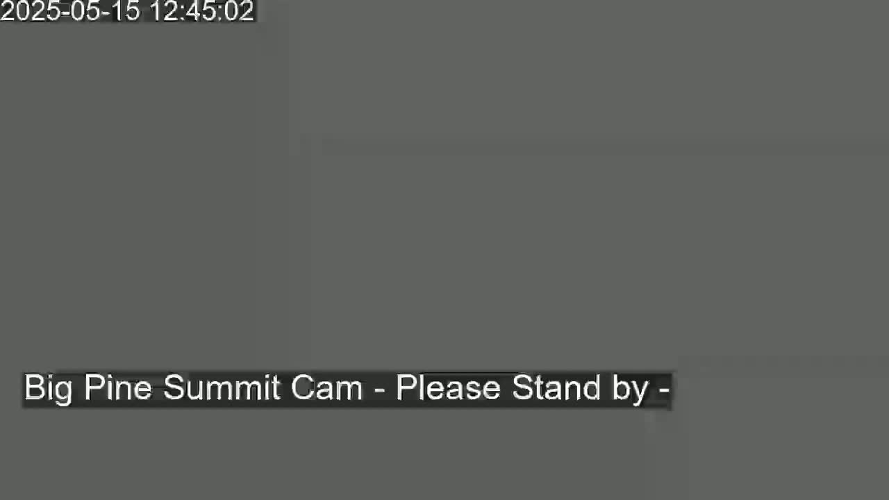The image shows a solid gray screen.