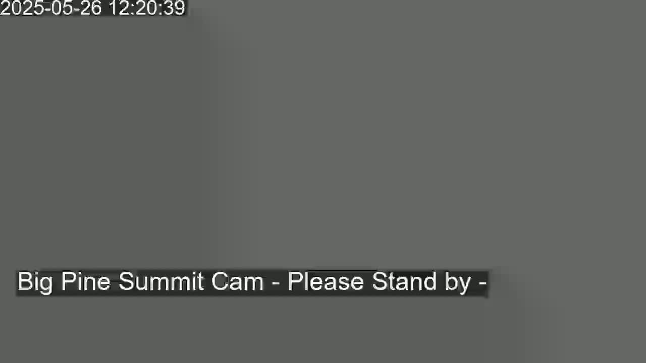 The image shows a solid, dark gray screen with a message indicating that the camera is offline.