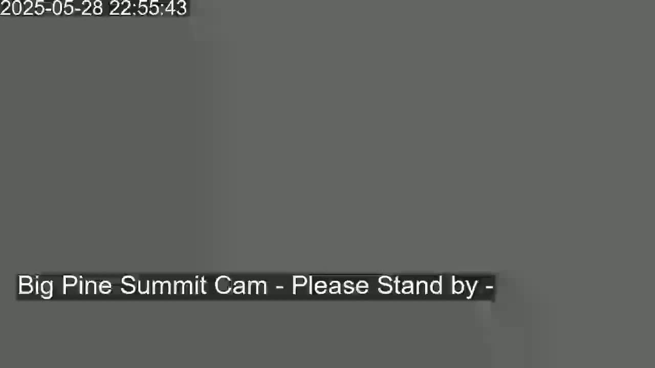 The image shows a solid gray screen with a message indicating that the camera is offline.