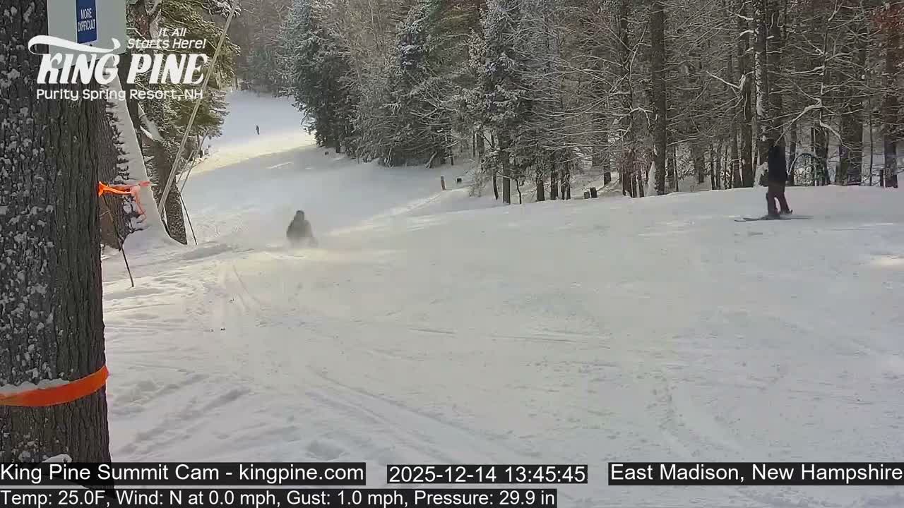 The image shows a solid gray screen with a message indicating that the camera is offline.