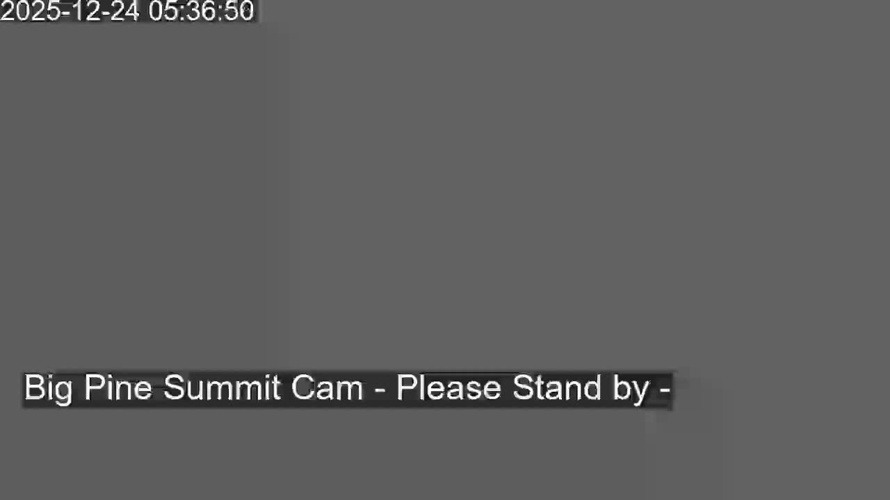 The image shows a solid gray screen with a message indicating that the camera is offline.