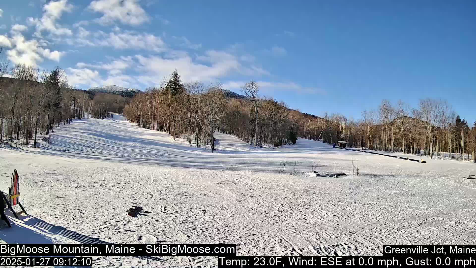 A snow-covered ski slope is nestled among bare deciduous trees under a mostly sunny sky.