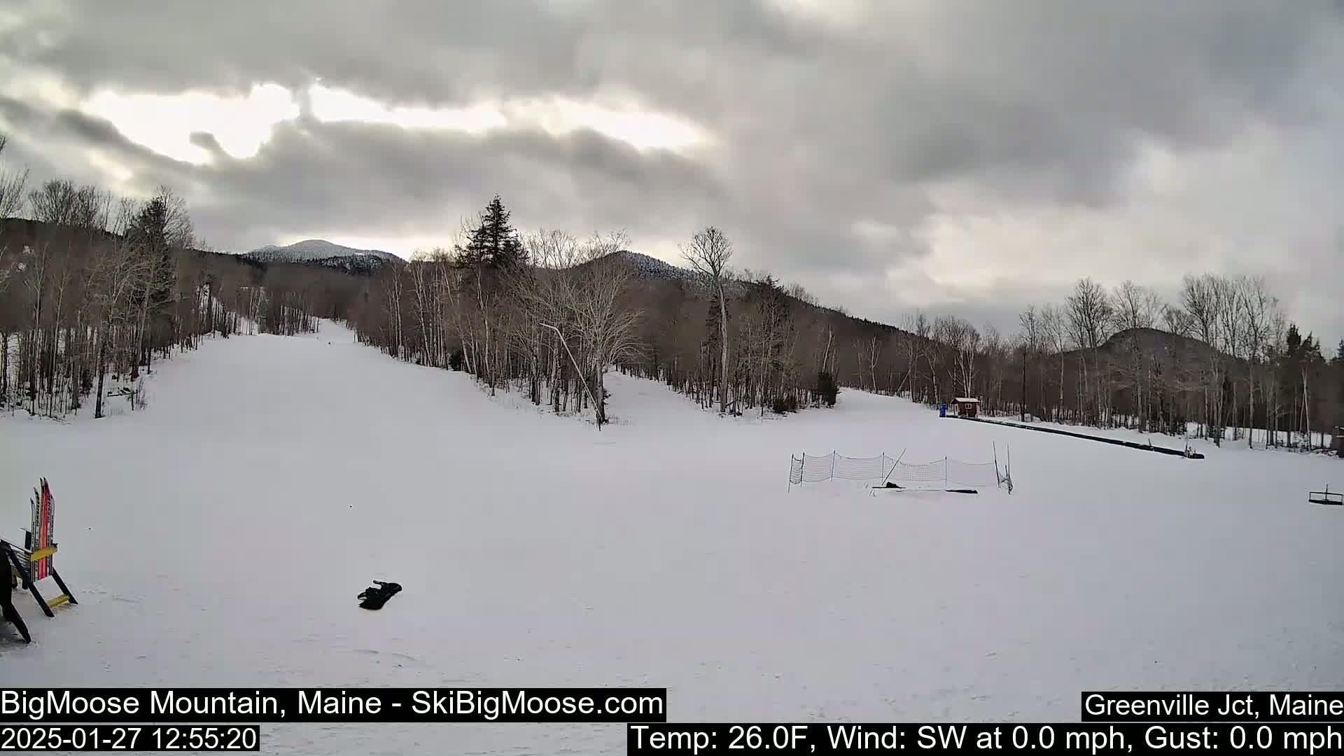 A snow-covered ski slope is visible under an overcast sky, with bare trees lining the hills in the background.
