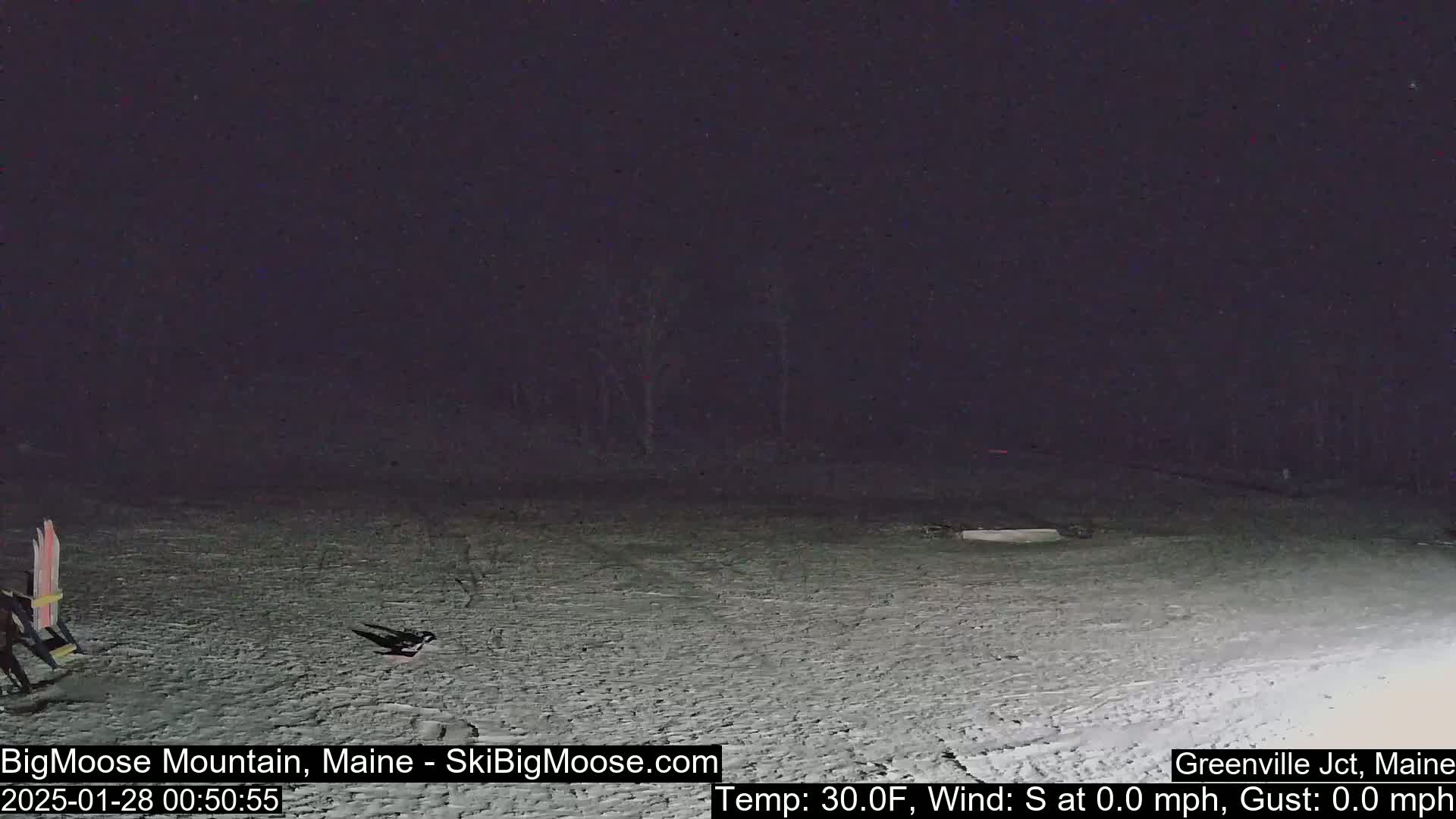 A snow-covered, nighttime scene shows a mostly empty area with a few faint ski tracks, a chair, and some dark trees in the background under a dark sky.