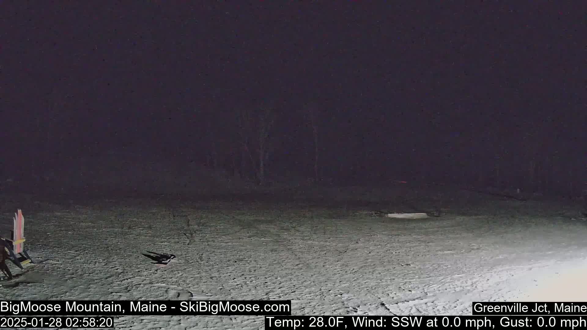 A snow-covered area at night with a calm wind,  28°F, and a pair of skis leaning against a chair.