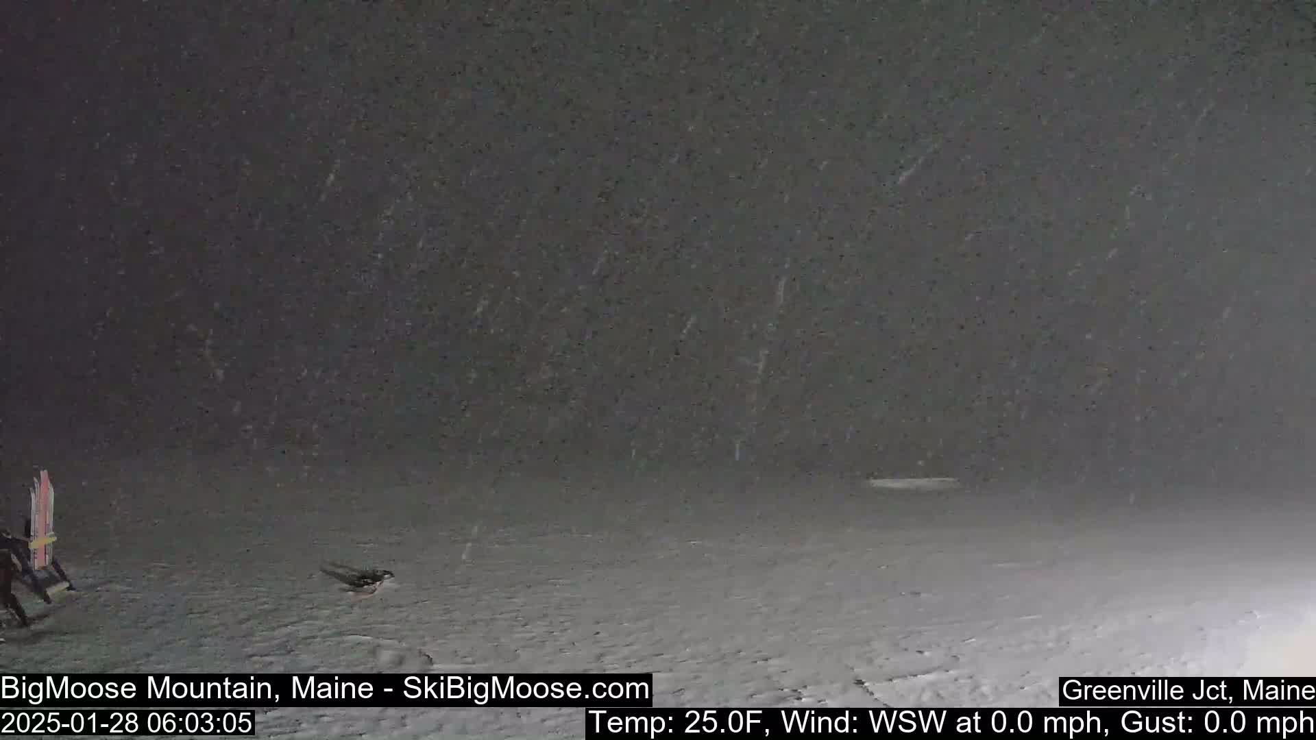 A snowy scene shows a mostly flat, snow-covered ground with a pair of skis leaning against something in the lower left corner under a dark, lightly snowing sky.