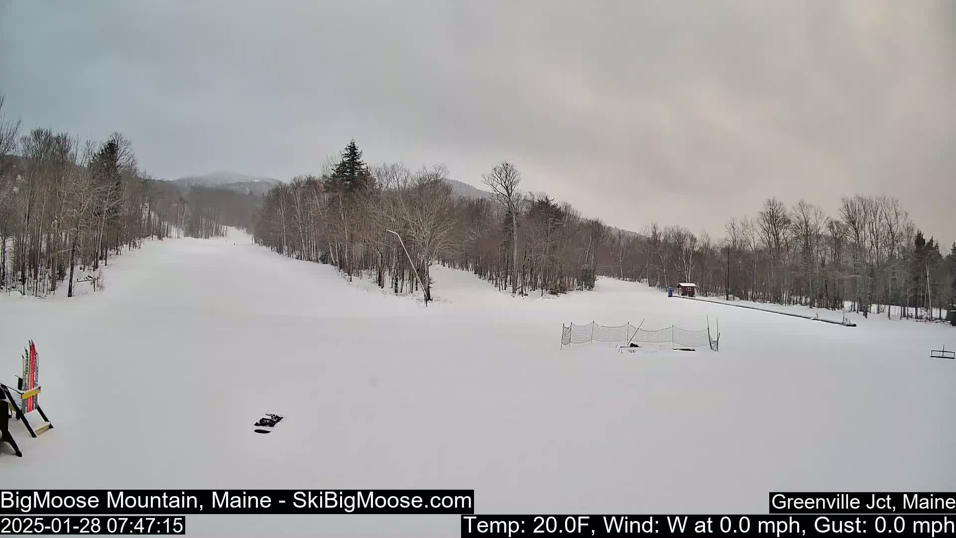 A snow-covered ski slope is visible, surrounded by bare, snow-dusted trees under an overcast sky.